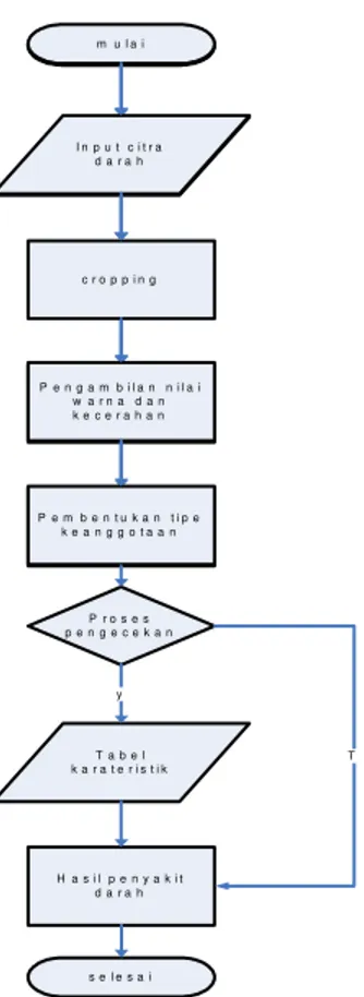 Gambar  6.  diagram  alir  pengenalan  dengan 