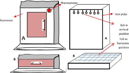 Figure 2 Drying fish instrument (Modification by Syuhada et al. 2015, Prasetyo et al.  Pengukuran suhu dilakukan pada 