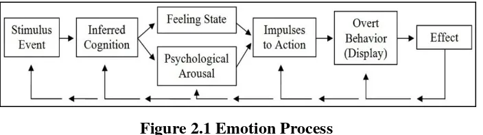 Figure 2.1 Emotion Process 