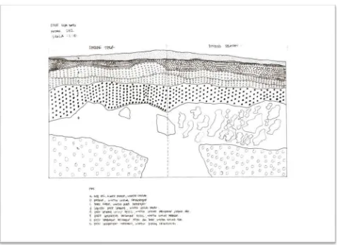 Gambar 3. Stratigrafi kotak H2 