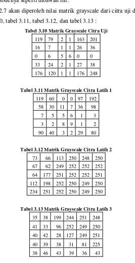 Tabel 3.10 Matrik Grayscale Citra Uji 