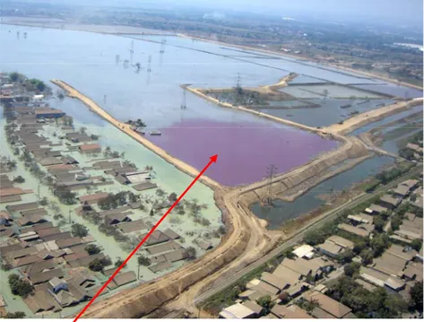 Gambar 4.2. Genangan air lumpur yang berwarna merah muda  menunjukkan kandungan phenol yang cukup tinggi