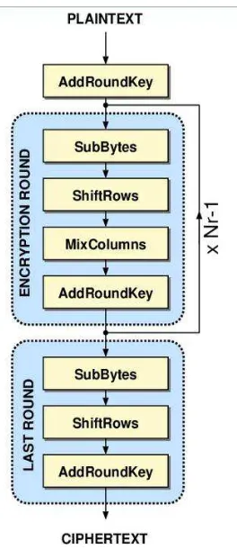 Gambar 2.5 Sturktur enkripsi AES  