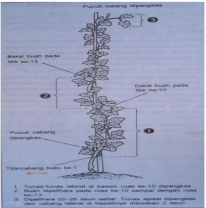 Gambar 1. Sistem pemeliharaan satu cabang