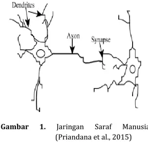 Gambar  1.  Jaringan  Saraf  Manusia  (Priandana et al., 2015) 