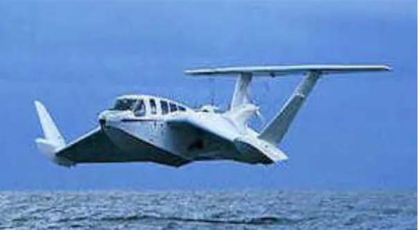 Gambar 1. Pesawat WISE Flight Ship FS8   konfigurasi Lippisch kapasitas 8 orang 