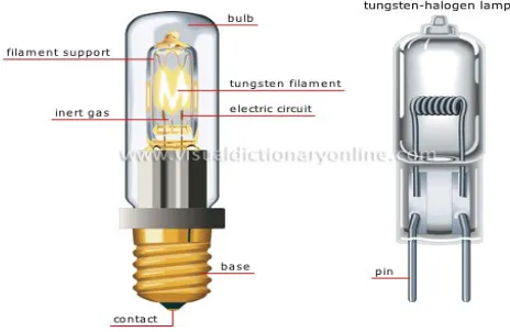 Gambar 3. Lampu Tungsten