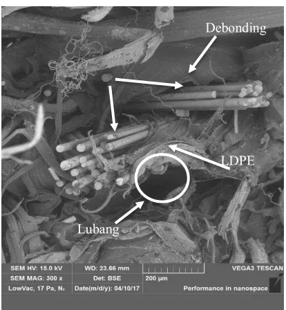 Gambar 7. Ikatan serat E-glass dengan LDPE 