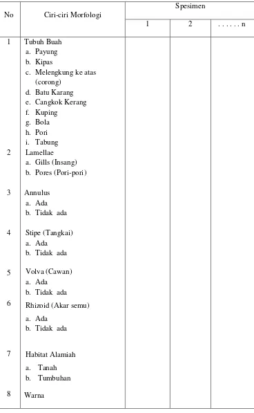 Tabel 3.1 Ciri-ciri Morfologi Jamur Kelas Basidiomycetes 