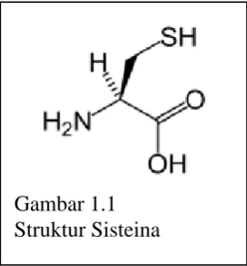 Gambar 2.1  Struktur Metanol 
