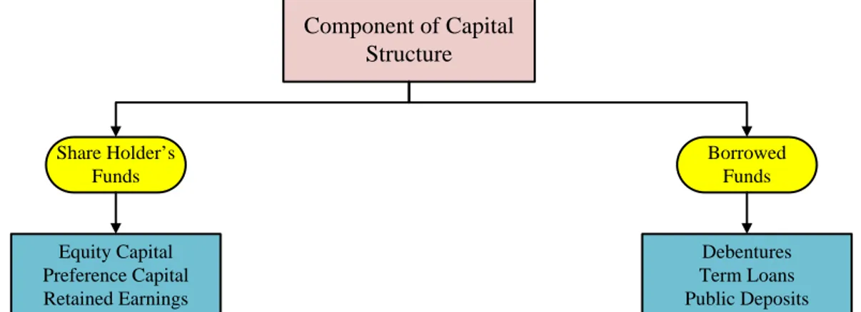 Gambar 1.1 Komponen dari Struktur Pemodalan 