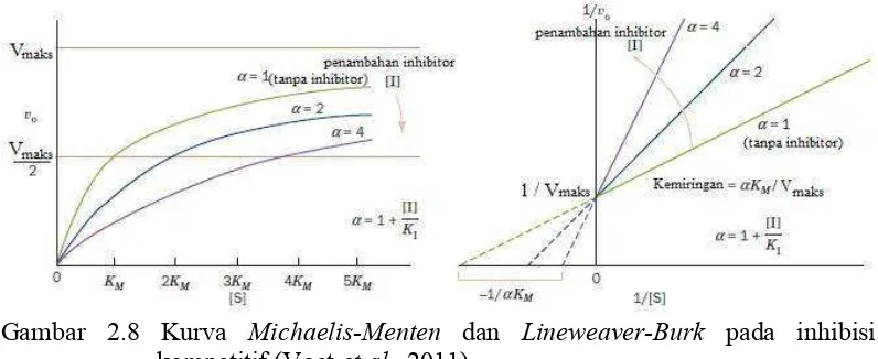 Gambar 2.8 Kurva   Michaelis-Menten dan Lineweaver-Burk pada inhibisi 