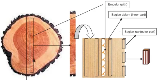 Gambar 1. Pola pengambilan contoh uji Figure 1. Sample cutting pattern