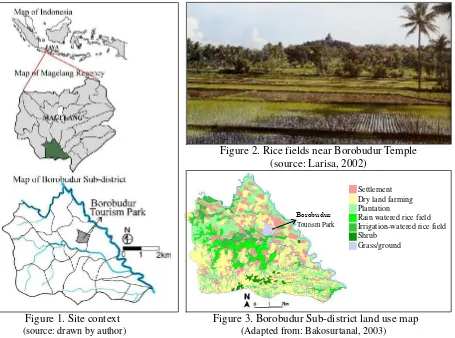Figure 2. Rice fields near Borobudur Temple  