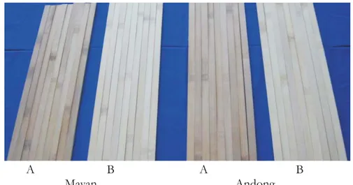 Gambar 1. Perbedaan warna bilah bambu sebelum (A) dan sesudah (B) diputihkan Figure 1