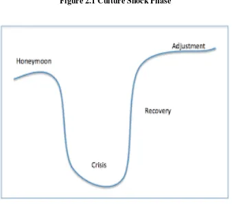 Figure 2.1 Culture Shock Phase 