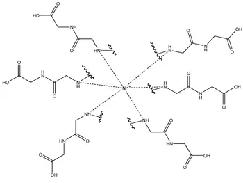 Gambar 8. Bentuk interaksi antara Ni(II) dengan  protein