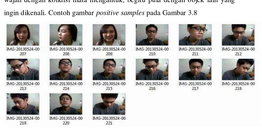 Gambar 3.8 Contoh gambar positif 