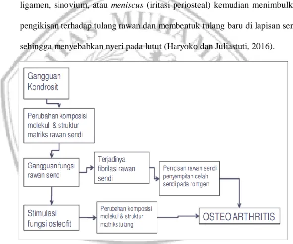 Diagram 2.1. Patofisiologi Osteoarthritis (Google, 2018) 
