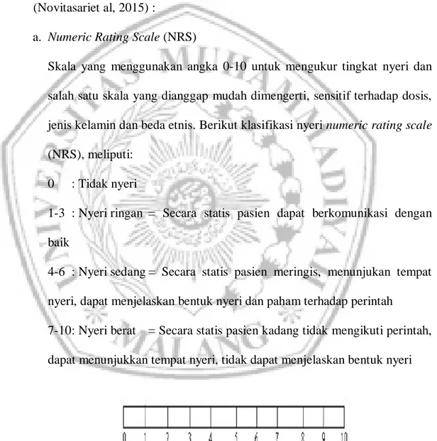 Gambar 2.16. Numeric Rating Scale (Googel, 2018) 