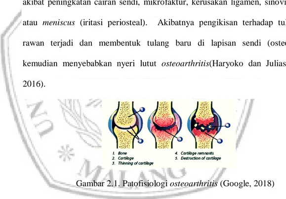 Gambar 2.1. Patofisiologi osteoarthritis (Google, 2018)  7.  Pemeriksaan spesifik pasien osteoarthritis : 