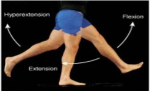 Gambar 2.2. Hiperekstensi (Google, 2018)  2) Gravity sign 