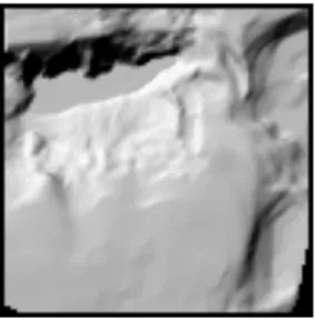 Figure 19 peta bathymetry 3D vol_4 triangulation with linier interpolation