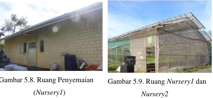 Gambar 5.8. Ruang Penyemaian 