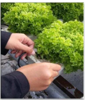 Gambar 5.20. Pengecekan Selang Nutrisi  