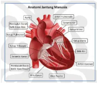 Gambar 1.Anatomi Jantung  TABEL I 