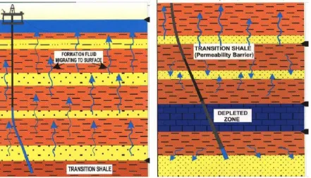 Gambar ;10 Zona transisi 