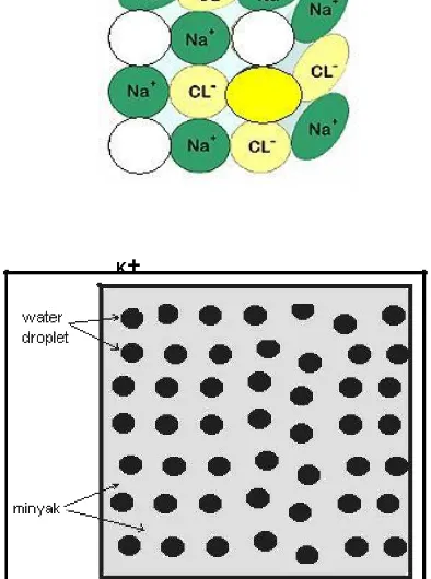 Gambar : 11 Gambaran Ion-ion Garam Dari Brine 