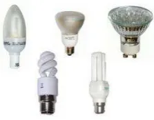 Gambar 2.11 Macam-macam Lampu Flourescent 