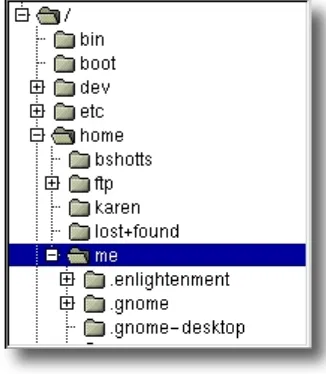 Figure 1: File system tree as shown by a 