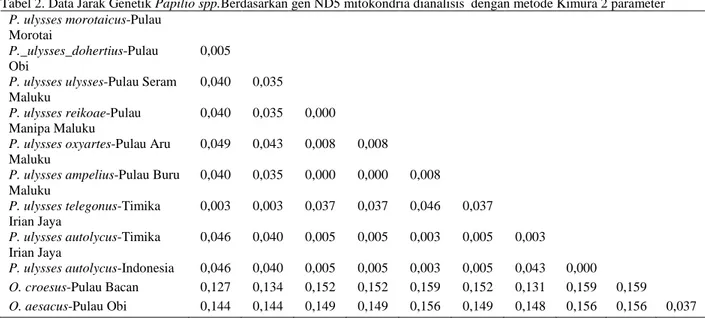 Tabel 2. Data Jarak Genetik Papilio spp.Berdasarkan gen ND5 mitokondria dianalisis  dengan metode Kimura 2 parameter  P