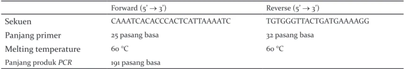 Figure 1.     DNA sequence of specific marker (italic) and designed PCR-primer (bold) of Javan Mongoose.
