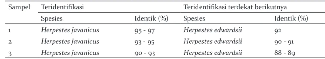 Tabel 2.  Persen identik sekuens DNA sampel terhadap data base NCBI Table 2. Percent identity of DNA sequence of samples against NCBI database