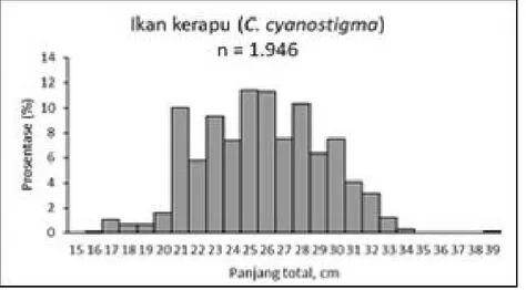 Gambar 1. Distribusi frekuensi panjang kerapu karang bintik biru (C.cyanostigma). Figure 1
