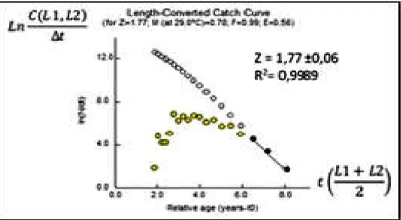 Figure 6. The Z-value as function of a fishing slope curve of blue spotted hind.