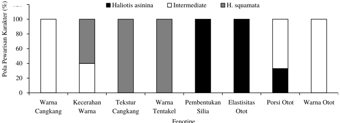 Gambar 6. Pola pewarisan karakter fenotipe pada benih abalon hibridisasi dengan jantan Haliotis asinina (AS).