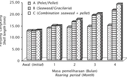 Gambar 3. Pertumbuhan panjang cangkang abalon selama penelitian Figure 3. Growth of shell length of abalone juveniles during the experiment