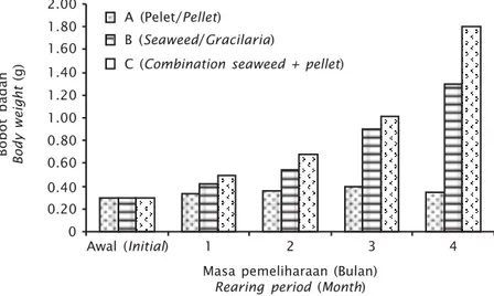 Gambar 5. Sintasan yuwana abalon dengan pemberian pakan berbeda Figure 5. Survival rate of abalone juvenile with different feeding Gambar 4