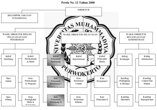 Gambar 2.1 Struktur Organisasi BLUD RSU Banyumas 
