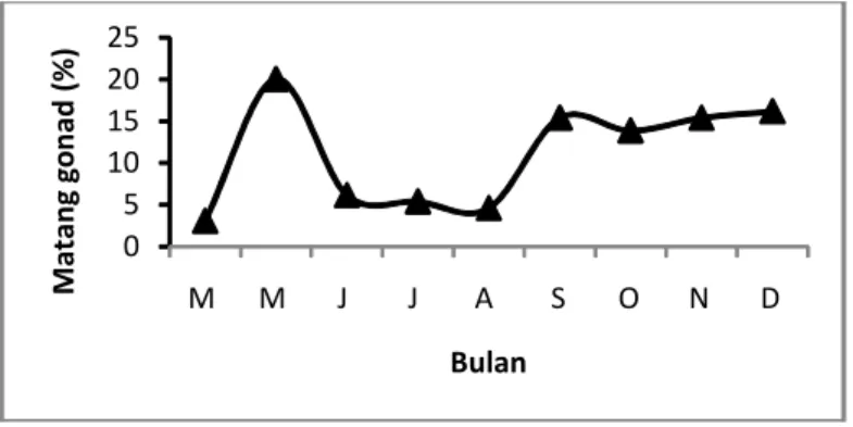 Gambar 2. Sebaran persentase matang gonad rajungan betina di perairan Bone, 2011 Figure 2
