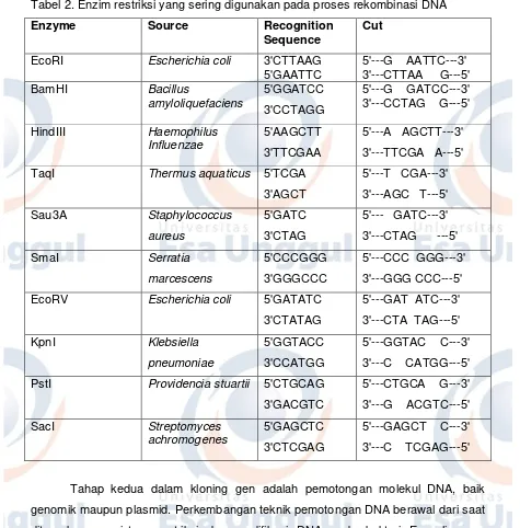 Tabel 2. Enzim restriksi yang sering digunakan pada proses rekombinasi DNA 
