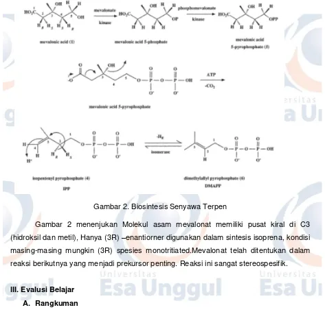 Gambar 2. Biosintesis Senyawa Terpen  