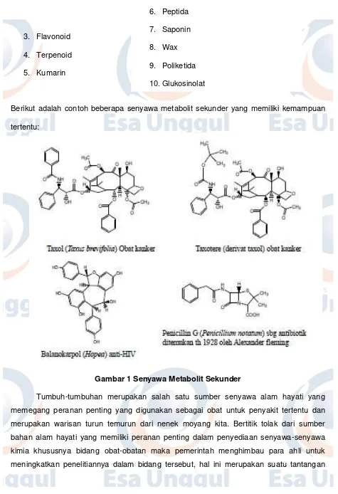 Gambar 1 Senyawa Metabolit Sekunder 