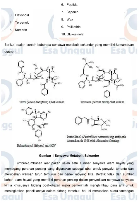Gambar 1 Senyawa Metabolit Sekunder 