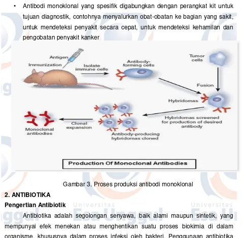 Gambar 3. Proses produksi antibodi monoklonal 