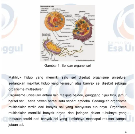 Gambar 1. Sel dan organel sel  